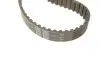 Комплект ГРМ + насос Audi A6/VW LT/T4 2.5TDI 91-06 (26.5x122) SKF VKMC 01270 (фото 4)