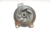 Комплект ГРМ + насос Audi A6/VW LT/T4 2.5TDI 91-06 (26.5x122) SKF VKMC 01270 (фото 9)