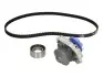 Комплект (ремінь+ролик+помпа) SKF VKMC 02203 (фото 1)
