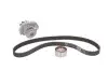 Водяной насос + комплект зубчатого ремня (Выр-во) SKF VKMC 02206-2 (фото 1)