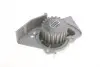 Комплект ГРМ + насос Citroen Berlingo/Jumpy 2.0HDI 98- (25x141) SKF VKMC 03246 (фото 2)