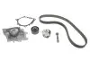 Комплект (ремень+ролик+насос) SKF VKMC03317 (фото 1)