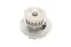 Комплект ГРМ + насос Opel Astra F/G 1.4/1.6 91-05/Combo 1.2/1.4 94-01 (17x111z) (VKPC 85206) SKF VKMC 05121 (фото 8)