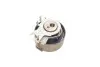 Комплект ГРМ + насос Renault Clio/Kangoo 1.2 16V 01- (23.4x95z) SKF VKMC 06002 (фото 7)