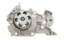 Комплект ГРМ + насос Renault Clio/Kangoo 1.2 16V 01- (23.4x95z) SKF VKMC 06002 (фото 10)