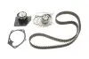 Комплект (ремінь+ролик+помпа) SKF VKMC 06008 (фото 1)