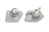 Комплект ГРМ + насос Nissan Primera 1.9dCi 02-/Renault Scenic/Megane 1.9dCi 03-(26x133z) SKF VKMC 06129 (фото 8)
