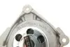 Водяной насос + комплект зубчатого ремня (Выр-во) SKF VKMC 06134-3 (фото 10)