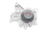 Комплект (ремінь+ролик+помпа) SKF VKMC 95660-3 (фото 9)