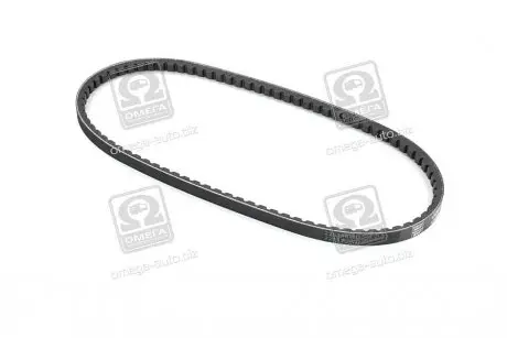 Ремінь клиновий 13AVx875 SKF VKMV13AVX875