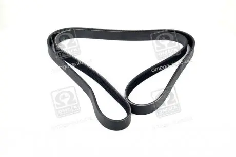 Ремень SKF VKMV 6PK1795