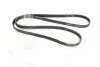 Ремень поликлин. (Выр-во) SKF VKMV6PK2155 (фото 3)