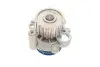 Насос воды Skoda Octavia 1.9TDI 96-10/VW Caddy/Golf 1.9TDI/SDI 96-05 SKF VKPC 81623 (фото 9)