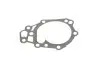Насос воды Dacia Logan/Sandero 1.0/1.2 06-/Renault Kangoo/Clio/Logan/Twingo 1.2/1.2 16V 01- SKF VKPC 86810 (фото 8)