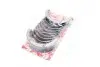 Вкладыши коренные OPEL STD 1,7TD/2,2i 16V X17DTL/X22XE/Y22XE/Z22XE (выр-во SM) SM MVI 403516-00-4 (фото 2)