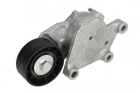 Натяжник ремня генератора Citroen/Peugeot/Ford 1.4HDi/1.6TDCi 01- SNR NTN GA359.00