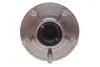 Підшипник маточини (задньої) Ford Connect 13- SNR NTN R152.83 (фото 5)
