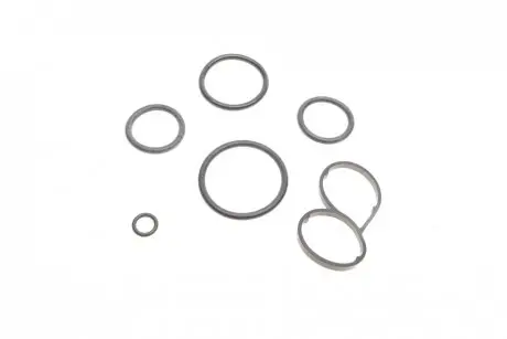 Прокладка радіатора масляного Citroen 1.6HDi 13-15/VW Touareg 4.2 02-06 (К-кт) Solgy 113017