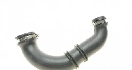 Патрубок повітряного фільтра Renault Kangoo 1.5dCi 05- Solgy 114218
