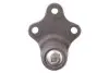 Опора шаровая (передняя/снизу) Citroen Berlingo/Peugeot Partner 1.8i/1.9D 96-08 Solgy 203019 (фото 3)