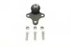 Опора кульова (передня/знизу) Citroen Berlingo/Peugeot Partner 96-08 (d=18mm) Solgy 203022 (фото 1)