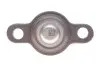 Опора кульова (передня/знизу) VW T5 2.0TDI/2.5TDI 03- (фургон) Solgy 203068 (фото 3)