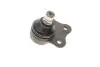 Опора кульова (передня/знизу) Ford Fiesta/Fusion 1.2-1.6 01-12 Solgy 203090 (фото 6)