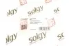 Рычаг подвески (задний/снизу) (R) Audi A3/Skoda Octavia/SuperB/VW Golf/Passat/Touran/Tiguan 03- Solgy 204104 (фото 3)