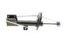 Амортизатор (передний) Citroen C4 II 09-(L) Solgy 211180 (фото 10)
