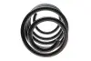 Пружина (передняя) VW T5 1.9TDI/Multivan V 1.9 TDI 03-15 Solgy 212022 (фото 4)