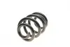 Пружина (задняя) VW T5/T6/Multivan V/VI 1.9-2.0TDI/2.5TDI/3.2 V6 03- (фургон/с борт.пл) Solgy 212054 (фото 1)