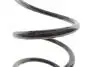 Пружина (задня) Toyota Rav 4 II 2.0 4WD/2.0D 4WD 00-05 Solgy 212127 (фото 3)