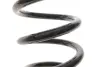 Пружина (задня) Toyota Rav 4 III 2.0 4WD/2.2 D 4WD 05-13 Solgy 212148 (фото 3)