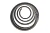 Пружина (передня) Renault Scenic III/Grand Scenic III 1.5dCi/1.6dCi/1.9dCi/2.0 16V 09- Solgy 212151 (фото 2)