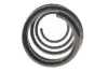 Пружина (передня) Renault Scenic III/Grand Scenic III 1.5dCi/1.6dCi/1.9dCi/2.0 16V 09- Solgy 212151 (фото 3)