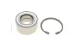 Подшипник ступицы (передней) Hyundai Elantra 06-/i30 07-12/Kia Cee&#039;d 06- (42x78x40) (к-кт) Solgy 216174 (фото 1)