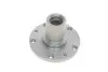 Ступень (передняя) Fiat Ducato/Citroen Jumper 94-02 Solgy 216254 (фото 1)