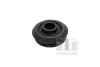Втулка амортизатора задн Лів/Прав CITROEN C-CROSSER, C-CROSSER ENTERPRISE MITSUBISHI ASX, LANCER VII, OUTLANDER II, OUTLANDER III PEUGEOT 4007 1.6-3.0 06.00- TEDGUM 00448991 (фото 1)