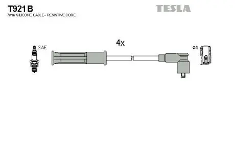 Провід високовольтні (к-кт) RENAULT KANGOO (08-) 1.6i BLATNA TESLA T921B