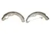 Колодки тормозные (задние) VW Caddy II 95-04 (барабанные) (230x32) TEXTAR 91052400 (фото 4)