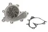 Насос охолоджуючої рідини, з ущільненням NISSAN ALMERA II, ALMERA TINO, PRIMERA, X-TRAIL I 2.2D 03.00- THERMOTEC D11074TT (фото 1)