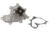 Насос охолоджуючої рідини, з ущільненням NISSAN ALMERA II, ALMERA TINO, PRIMERA, X-TRAIL I 2.2D 03.00- THERMOTEC D11074TT (фото 2)