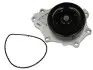 Насос охолоджуючої рідини, з ущільненням LEXUS IS II TOYOTA AURIS, AVENSIS, COROLLA, COROLLA VERSO, RAV 4 III, RAV 4 IV, VERSO 2.0D/2.2D 07.05-09.19 THERMOTEC D12089TT (фото 1)