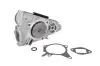 Насос охолоджуючої рідини MAZDA 323 C V, 323 F V, 323 F VI, 323 P V, 323 S V, 323 S VI, MX-3, MX-5 I, MX-5 II, XEDOS 6 1.5-2.0 05.90-10.05 THERMOTEC D13030TT (фото 1)