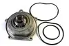 Насос охолоджуючої рідини, з ущільненням HONDA ACCORD V, ACCORD VI, CIVIC VI LAND ROVER DISCOVERY I, FREELANDER I MG MG ZR ROVER 200, 200 II, 25 I, 400, 400 II, 45 I 2.0/2.0D/4.6 10.88-10.06 THERMOTEC D14031TT (фото 1)