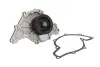 Насос охолоджуючої рідини, з ущільненням AUDI A4 B5, A6 C5, A8 D2 VW PASSAT B5, PASSAT B5.5 2.5D 01.97-05.05 THERMOTEC D1A008TT (фото 2)