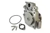 Насос охолоджуючої рідини, з ущільненням CITROEN JUMPER I FIAT DUCATO PEUGEOT BOXER 2.5D/2.8D 03.94- THERMOTEC D1F062TT (фото 1)