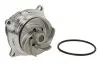 Насос охолоджуючої рідини, з ущільненням FORD COUGAR, FOCUS I, FOCUS I/KOMBI, MONDEO II, TOURNEO CONNECT, TRANSIT CONNECT HYUNDAI GETZ MAZDA TRIBUTE 1.4-2.0 08.96-12.13 THERMOTEC D1G002TT (фото 1)