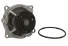 Насос охолоджуючої рідини, з ущільненням FORD COUGAR, FOCUS I, FOCUS I/KOMBI, MONDEO II, TOURNEO CONNECT, TRANSIT CONNECT HYUNDAI GETZ MAZDA TRIBUTE 1.4-2.0 08.96-12.13 THERMOTEC D1G002TT (фото 2)