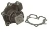 Насос охолоджуючої рідини, з ущільненням FORD TRANSIT, TRANSIT TOURNEO 2.4D/2.5D 10.83-12.00 THERMOTEC D1G026TT (фото 2)